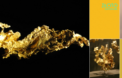 Kradzież samorodków złota w Wells Fargo