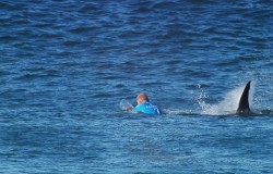 Podczas zawodów J-Bay Open rekin zaatakował serfera na oczach widzów.