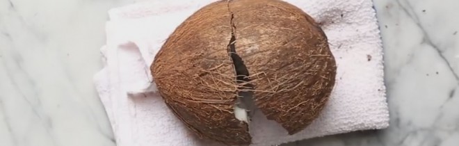 Jak otworzyc orzech kokosowy domowymi narzedziami? Całkiem proste.