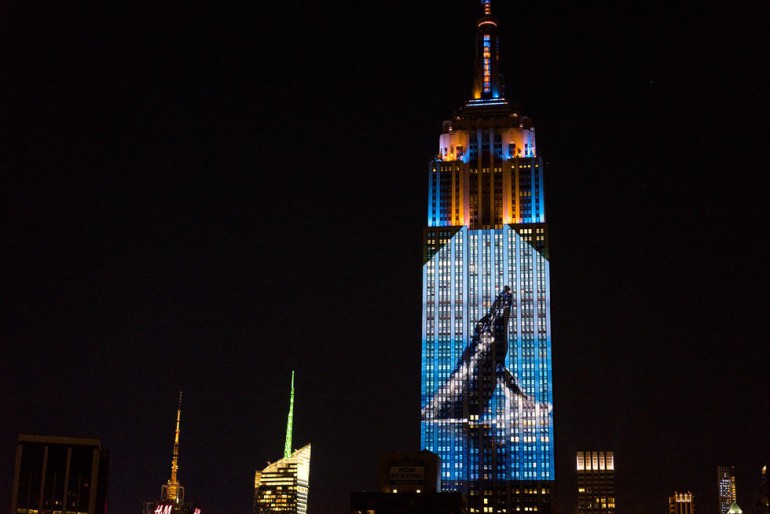 Empire State Building z  iluminacją zagrożonych gatunków zwierząt 