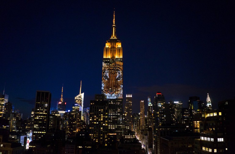 Empire State Building z  iluminacją zagrożonych gatunków zwierząt 