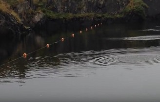 Rekord w puszczaniu kaczek na wodzie. Aż 88 kaczek.