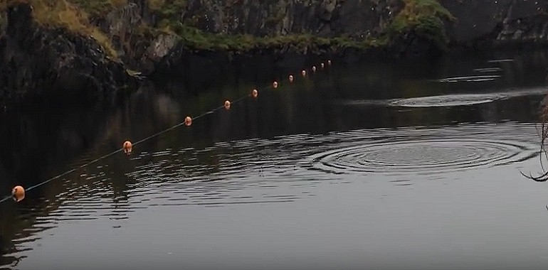 Rekord w puszczaniu kaczek na wodzie. Aż 88 kaczek.
