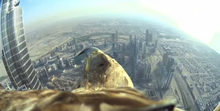 Dubaj z lotu ptaka – Orzeł wypuszczony z dachu Burj Khalifa